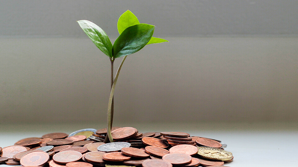 Prophetic-Solutions-for-Financial-Uncertainty-quran-insider